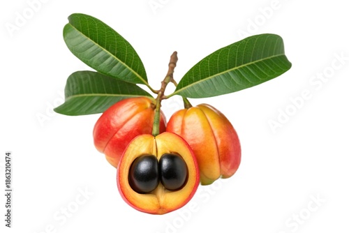 Ripe nutmeg fruits with leaves isolated on white background