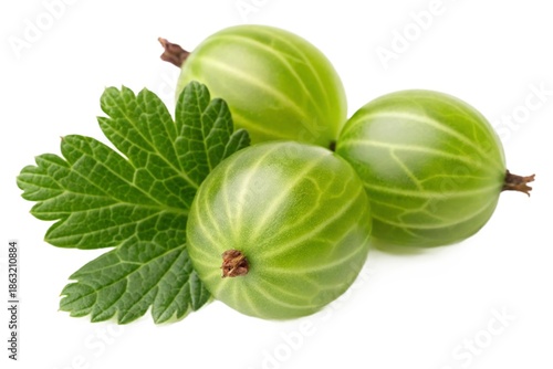 Three fresh green gooseberries with leaves isolated on white background