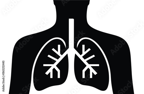Black and white illustration of human respiratory system lungs and trachea anatomy