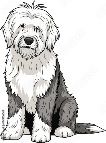 Old English Sheepdog sitting relaxed attentive facing front pose