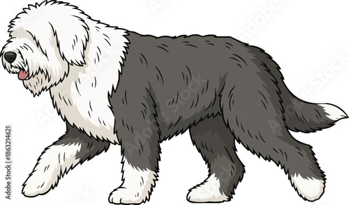 Old English Sheepdog walking relaxed movement side view