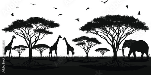 Black and White Silhouette Illustration of African Savanna Landscape with Giraffes and Elephant under Umbrella Acacia Trees on White Background