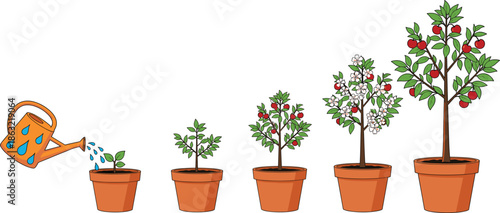 Flat vector illustration of fresh organic root vegetables including orange carrot red beetroot and green leafy spinach with roots isolated on white background.