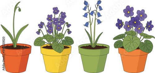 Flat vector illustration of colorful spring flowers in pots including purple violets and bluebells isolated on white background for gardening and interior design.