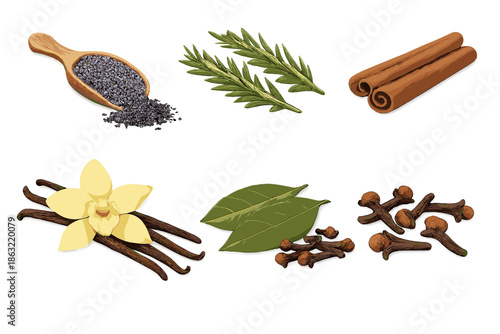 Assortment of Spices and Herbs on a Textured Background