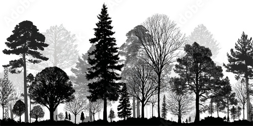 Diverse forest silhouette with various evergreen and deciduous trees in black and white