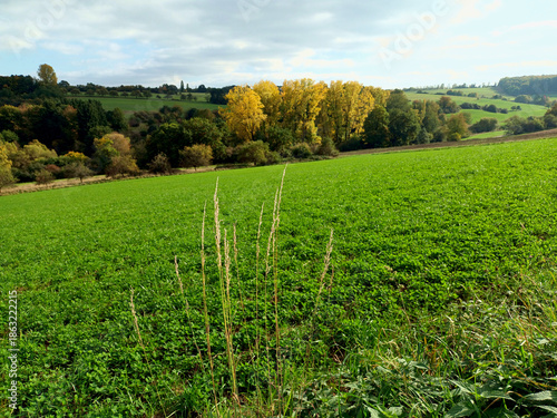 Herbstliche Landschaft mit Wiesen, Feldern und Bäumen auf dem Premium-Wanderweg Traumschleife Bach- und Burrenpfad bei Hüttersdorf in der Gemeinde Schmelz im Landkreis Saarlouis im Saarland. 