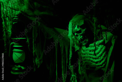 Fotografia Eerie skeleton in green light
