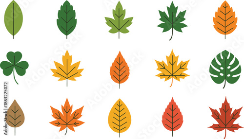 various types of leaves, including autumn, tropical, and clover designs, showcasing different shapes, colors, and seasonal changes, perfect for nature-themed content and designs