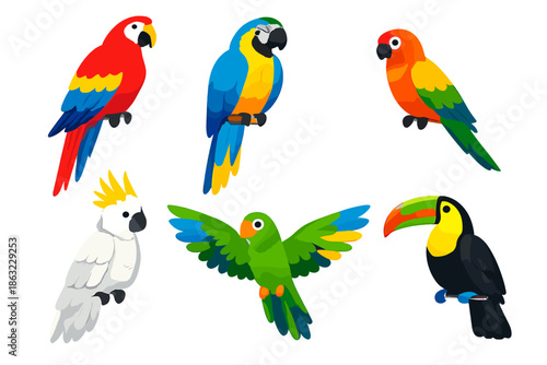 Collection of Colorful Tropical Birds
