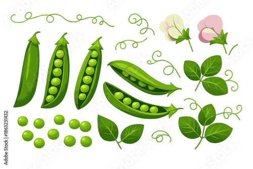 Fresh Peas and Flowers on Green Background