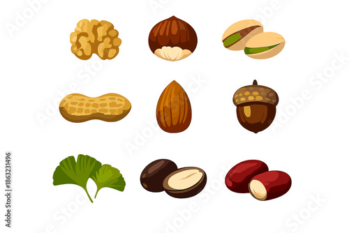 Collection of various nuts and seeds