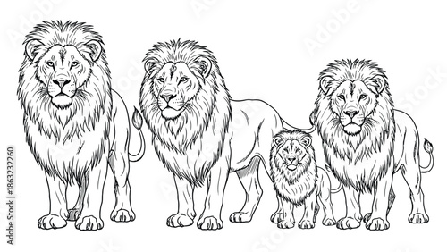 Family Of Lions Walking Together In The Wild: A Pride Of Lions