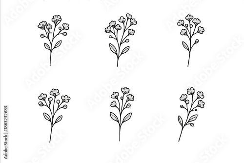 Minimalist Forget-Me-Not Flowers on Dark Background