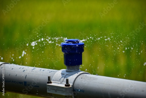 Close-up of a water sprinkler irrigation system spraying water over crops in a green agricultural field. Concept of irrigation, farming technology and water conservation.