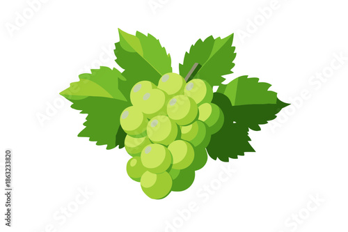 Minimal flat vector illustration of a lush cluster of green grapes with leaves isolated on transparent background