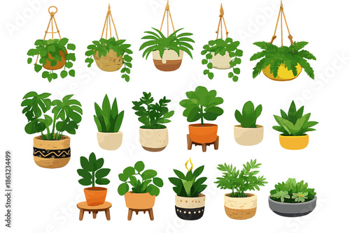 Collection of various potted plants with green foliage