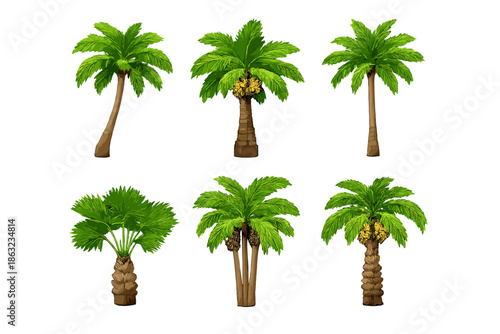 Collection of six stylized palm trees