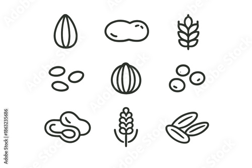 Collection of Outline Icons Representing Different Grains and Seeds