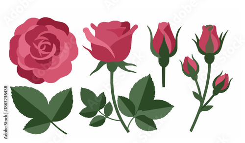 Rosa Damascena silhouette flower icon set flat vector illustration
