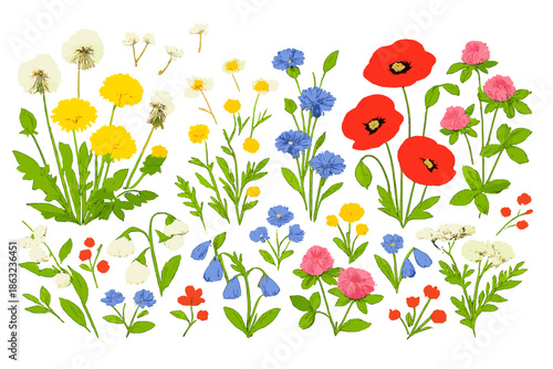 Vibrant Meadow of Wildflowers