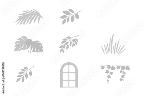 Abstract Floral Elements and Window in a Glowing Monochrome Background