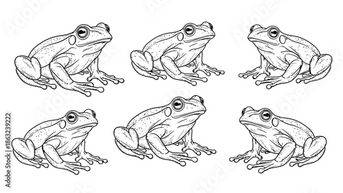 Six Frog Sketch Illustrations Set for Coloring Books, Design Projects, and Educational Use