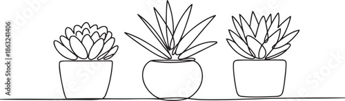 a-minimalist-line-drawing-of-three-succu__ck7NJjlTQivUaS5tdg0Ag_Yu0qYv0dQF215LN4jifLoA_traced