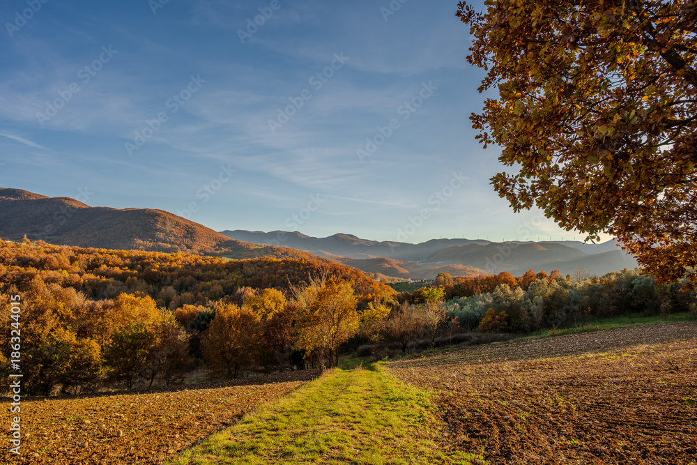 Naklejka premium Molise is an Italian region with a stretch of coast overlooking the Adriatic Sea. It includes a part of the Abruzzo National Park in the Appennine mountain range, with a rich wildlife and trails.