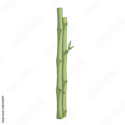A green bamboo stalk with nodes and a small branch