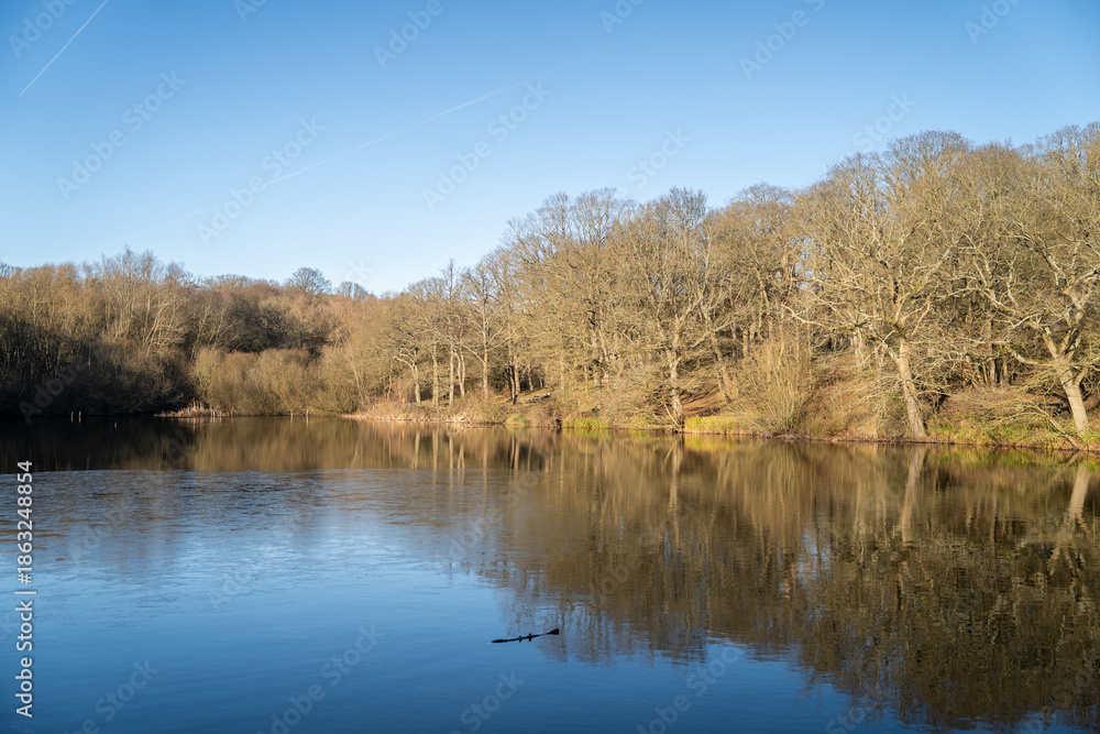 Fototapeta premium English countryside in the Winter with lake view
