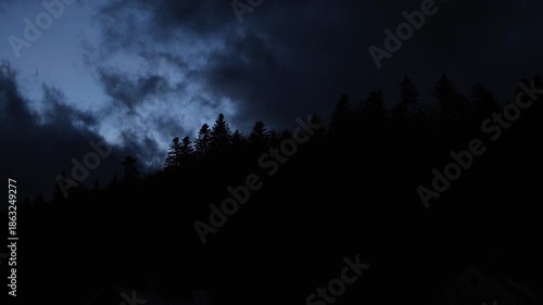 Fog over the trees in the night, moody fantasy scene