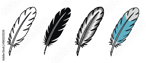Set of four bird feather illustrations showing different artistic styles including outline, silhouette, engraving, and a simple blue and grey colored version for design elements