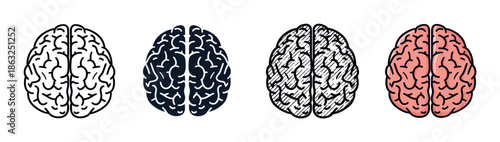 Set of four human brain icons presented in various artistic styles including simple line art, a solid silhouette, a hatched sketch, and a full color cartoon illustration