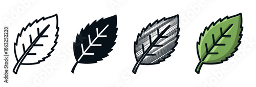 Four simple leaf icons with serrated edges displayed in a set of graphic styles including line art, solid black silhouette, hand-drawn hatching, and a green colored version