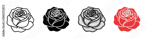 Set of four rose flower illustrations in different graphic styles including outline, silhouette, engraved hatching, and a simple red and white color version for design