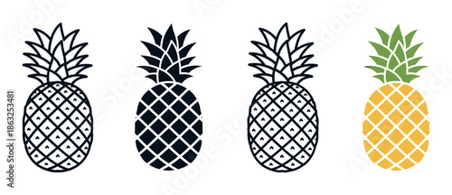 Set of four pineapple illustrations showing different graphic styles including line art, silhouette, hand-drawn sketch, and a simple flat color version for design elements