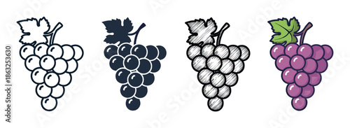 Set of four grape bunch icons in various artistic styles including simple outline, solid silhouette, hand-drawn sketch, and a full color cartoon illustration