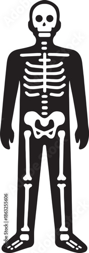 silhouette vector illustration of a human body xray art