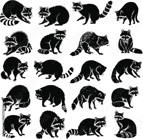  Set of Raccoon silhouette set vector design big pack of animal illustration black and white background