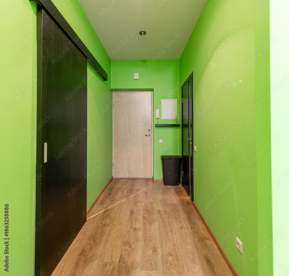 Fototapeta premium Modern Home Hallway with Wooden Floors and Bright Green Walls