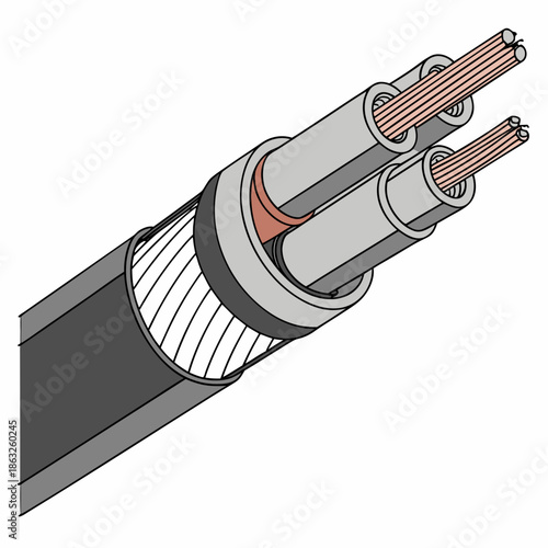 Cross section of electrical cable