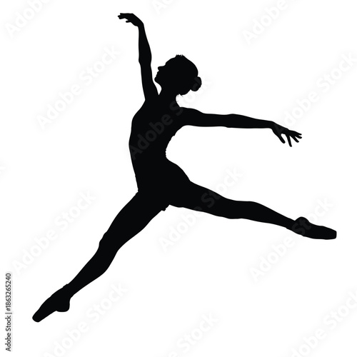 A graceful silhouette of a dancer mid leap showcasing elegant movement