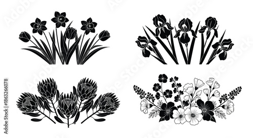 Black and white botanical illustration of various floral arrangements and plants