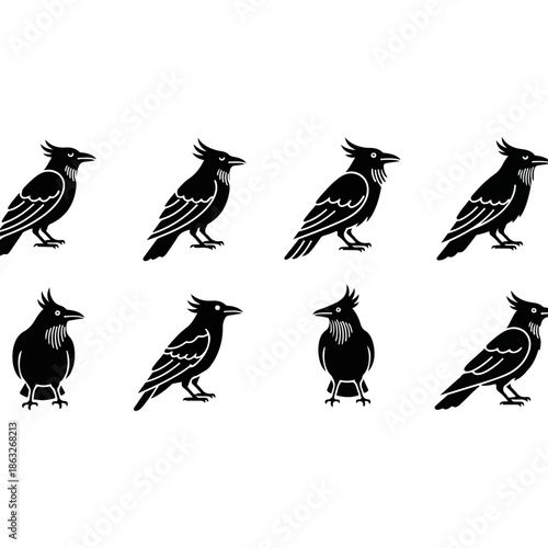 Collection of Black Bird Silhouettes.