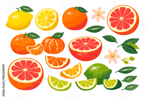 Assortment of Citrus Fruits and Blossoms