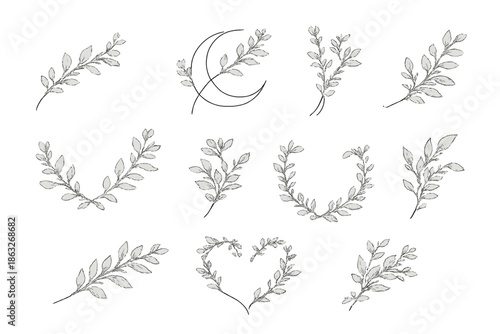 Hand-drawn botanical elements and a crescent moon on a textured background