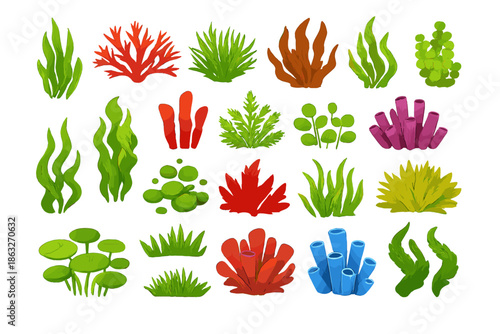 Underwater Plant and Coral Collection