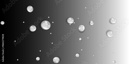 Realistic Water Droplets on Black and White Gradient Background Isolated Surface Condensation Effect Vector