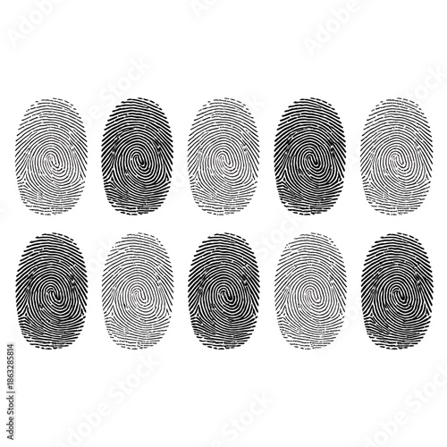 A collection of various fingerprint impressions displayed on a white background